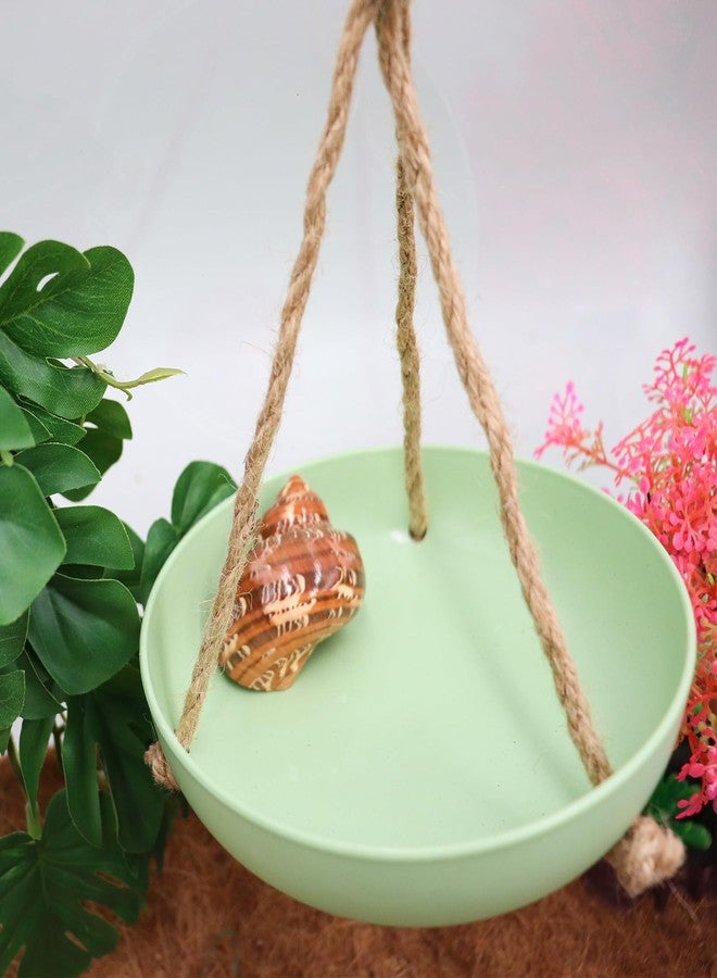 Neeenn Frog Swing Toys, Gecko Swing Toys, Plastic Reptile Amphibian Climbing Toys, Tank Aquarium Terrarium Decoration Accessories, Suitable for Frog Gecko Lizard Chameleon Hermit Crab Hamsters Rats - Image 2